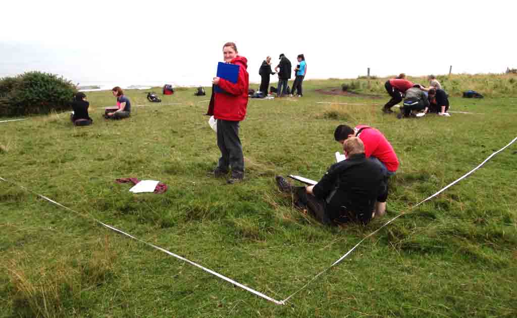 Ecology fieldwork